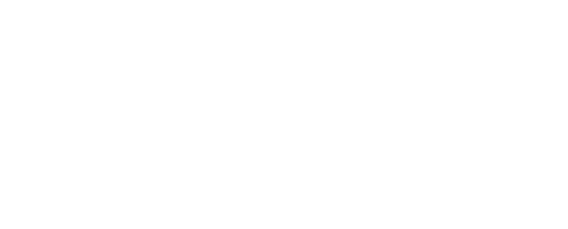 Danieli systec engineering white